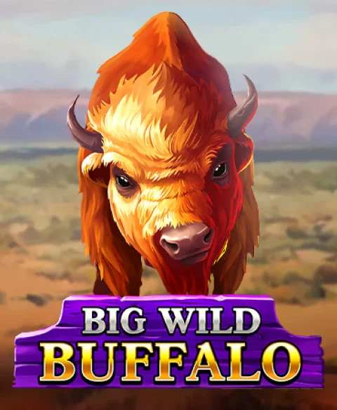 Play Big Wild Buffalo at Incredible Spins Casino